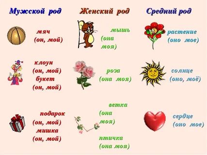 Какой род у слова зимний