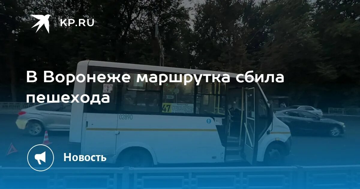 Маршрутки Воронеж. Автобус Воронеж. Обновленные автобусы в Ломоносове. ДТП Газель и Фольксваген Воронеж. 37 маршрутка воронеж