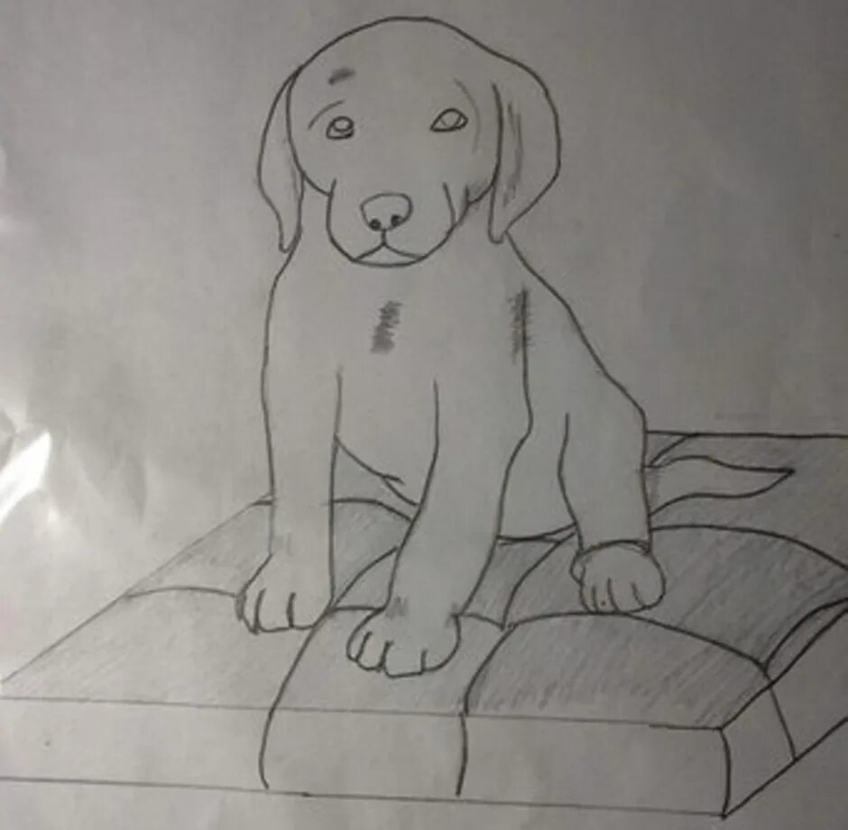 Лошадь рисунок. Пейзаж карандашом для начинающих. Пейзаж простым карандашом. Рисунок щенка для срисовки. Конь рисунок.