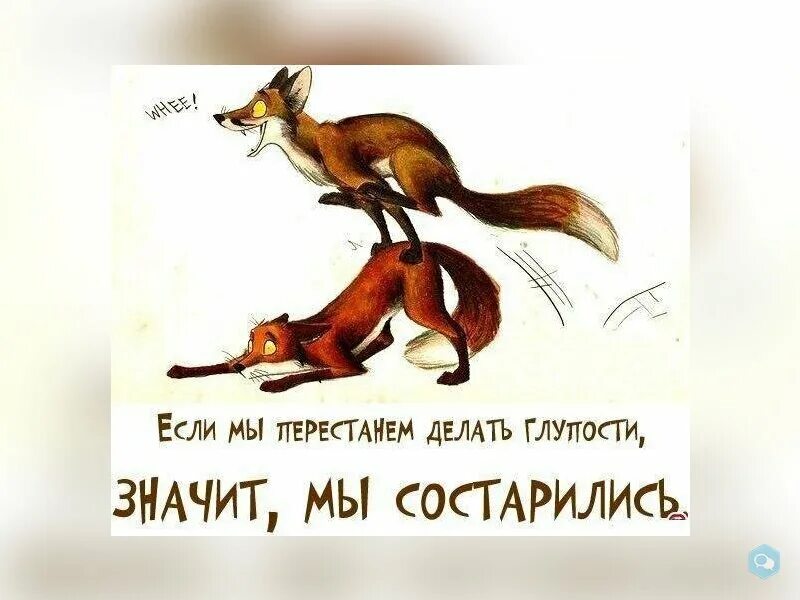 Все не буду. Делай что хочешь цитаты. Делай то что хочется. Делать то что не хочется. Делай то что хочешь цитаты.