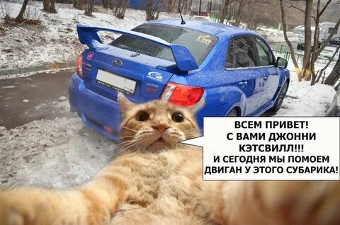 Кэтсвилл
