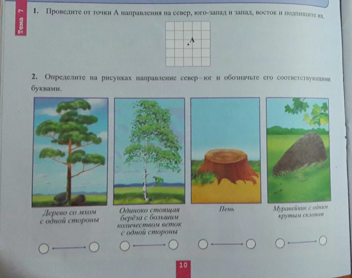 Определите направление стрелки на каждом рисунке. Определение сторон горизонта по местным признакам.