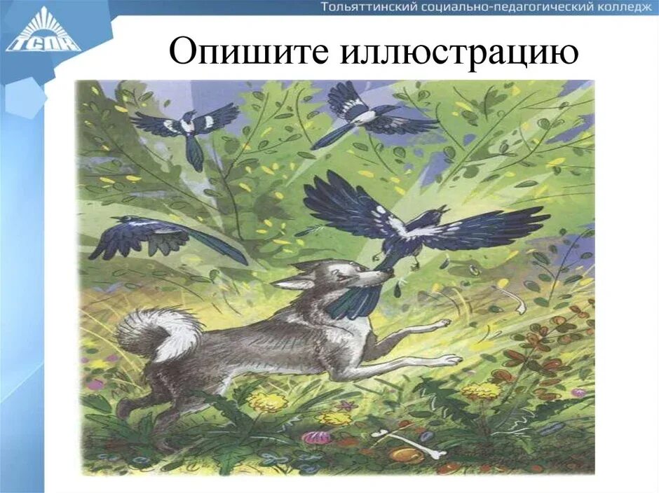 Герои произведения выскочка. Иллюстрация к рассказу Пришвина выскочка. Пришвин вьюшка и выскочка. Выскочка пришвин сорока.