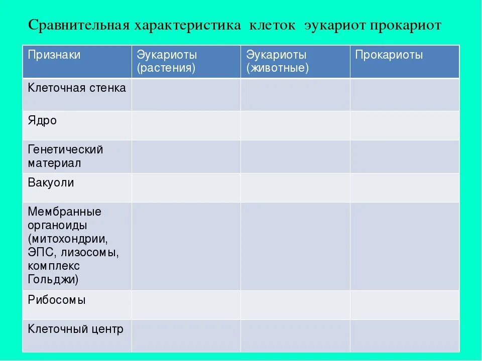 Сравнение клеток прокариот и эукариот 10 класс. Сравнение строения клетки прокариоты таблица. Сравнительная таблица эукариотических и прокариотических клеток. Строение клеток прокариот и эукариот таблица.