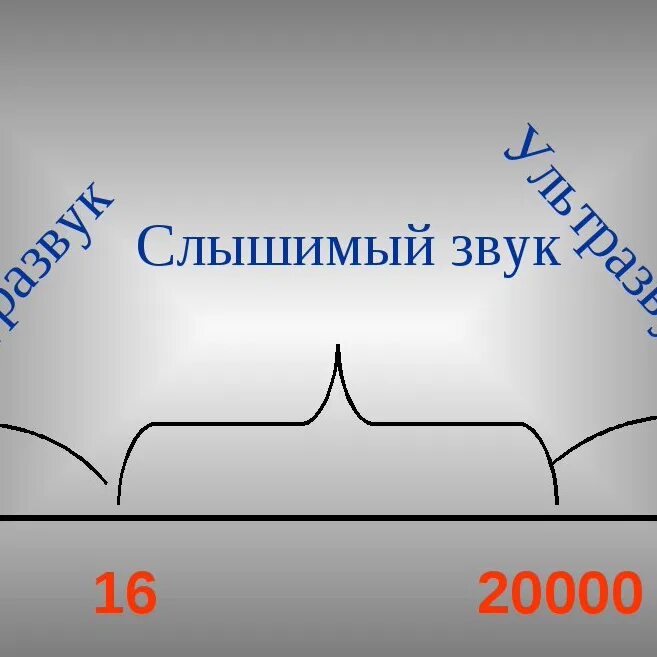 Инфразвук слышимый звук схема. Звук ультразвук инфразвук гиперзвук таблица. Диаграмма от инфразвука до ультразвука. Инфразвук на графике. Никем не слышимые звуки