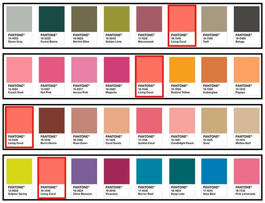 Коралловый цвет года пантон. Цвет года 2019 pantone. Цвет года по версии pantone. Цвет года пантон 2019. Цвета в год 2019.