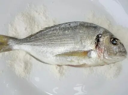 Морской карась 5 букв сканворд