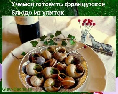 Улитки по бургундски