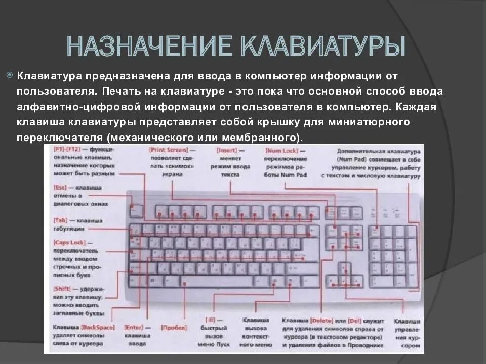 Как управлять компьютером с клавиатуры. Клавиатура компьютера леново Назначение клавиш. Функции комбинаций кнопок на клавиатуре ноутбука. Клавиатура компьютера клавиши Назначение клавиши ввода. Клавиатура компьютера функции кнопок клавиатуры.