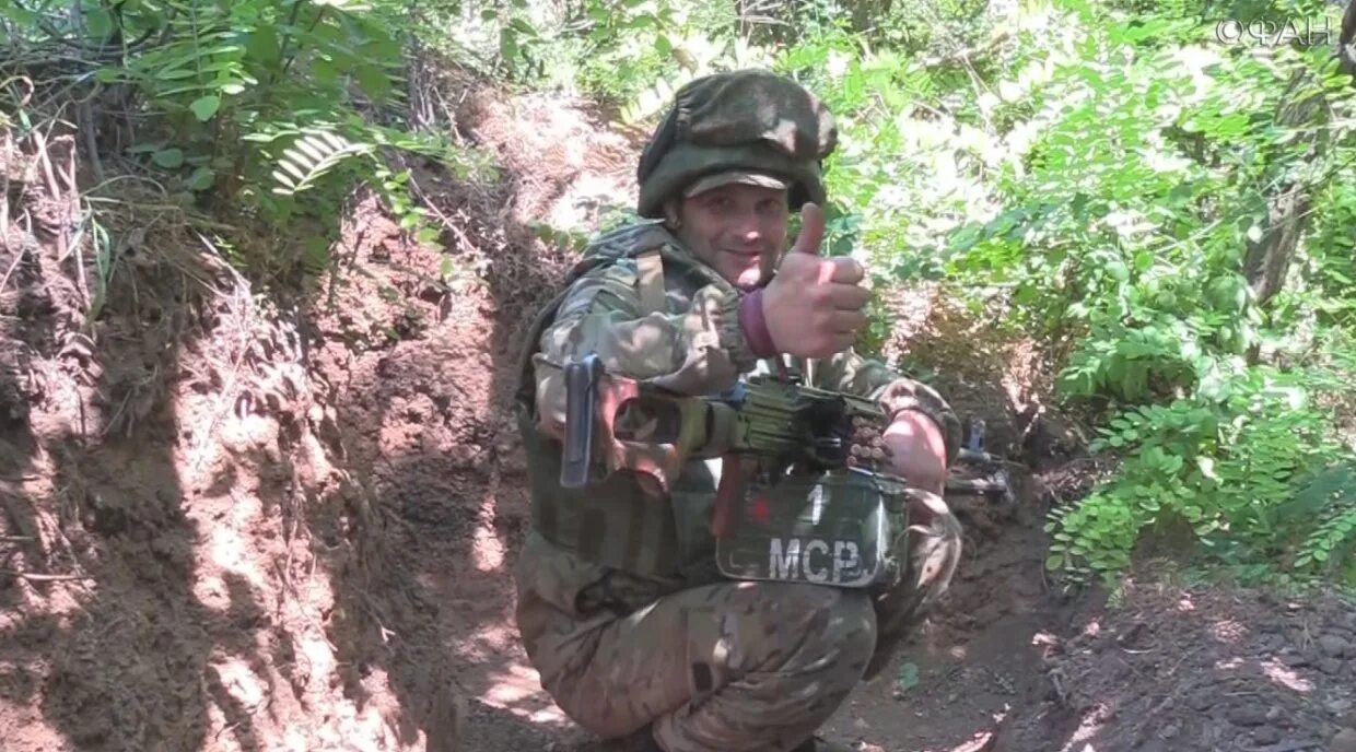 Позывной мангуст донбасс. Позывной воробей боец сомали. Позывной кречет. Позывной кречет. Позывной кречет.