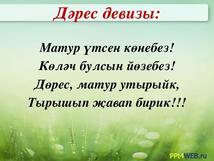 Исем девиз. Девиз на татарском языке. Название команды и девиз на татарском языке. Лозунги на татарском. Девиз команды на татарском.