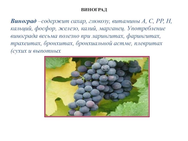 Какого витамина больше всего в винограде. Витамины в винограде. Витамины содержащиеся в винограде. Виноград полезное витамины. Какой витамин содержится в винограде.