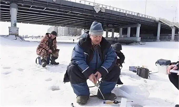 Погода в шексне на дней