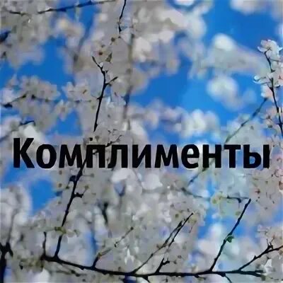 Белорусские комплименты
