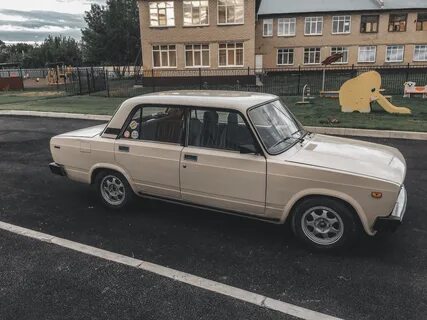Цвет сафари