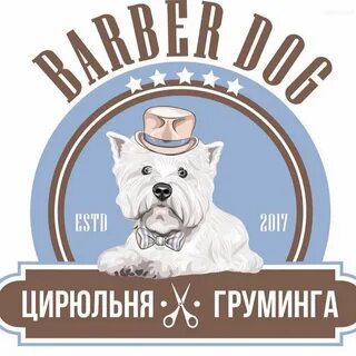 Груминг казань