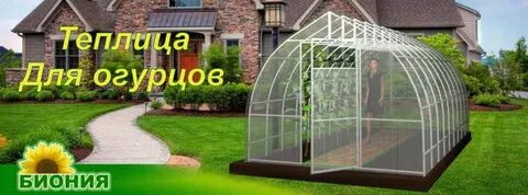 Биония пенза
