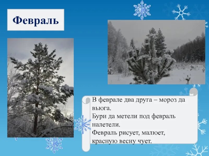 Составить предложение со словом метель
