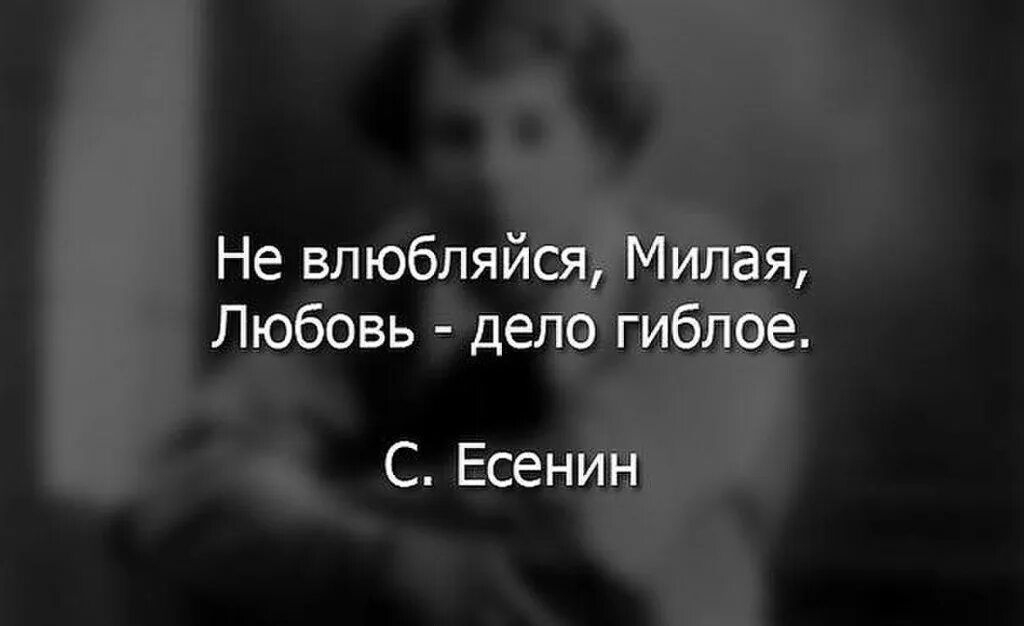 Не влюбляйся цитаты. Не влюбляйся любовь дело гиблое. Цитаты Есенина о любви. Не влюбляйся милая