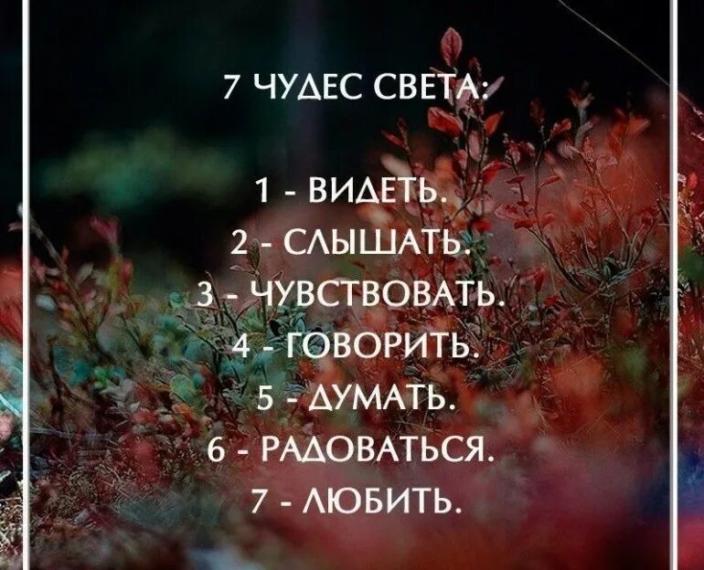 Будь чудом цитаты. Фразы про чудеса. Будь чудом цитаты. Цитаты про чудо. Афоризмы про чудеса.