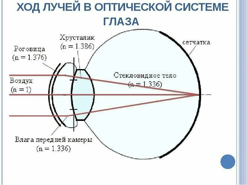 Воздух через глаз. Ход лучей в оптической системе глаза. Оптическая система схематического глаза. Схема прохождения света через оптическую систему глаза. Ход лучей через оптическую систему глаза.