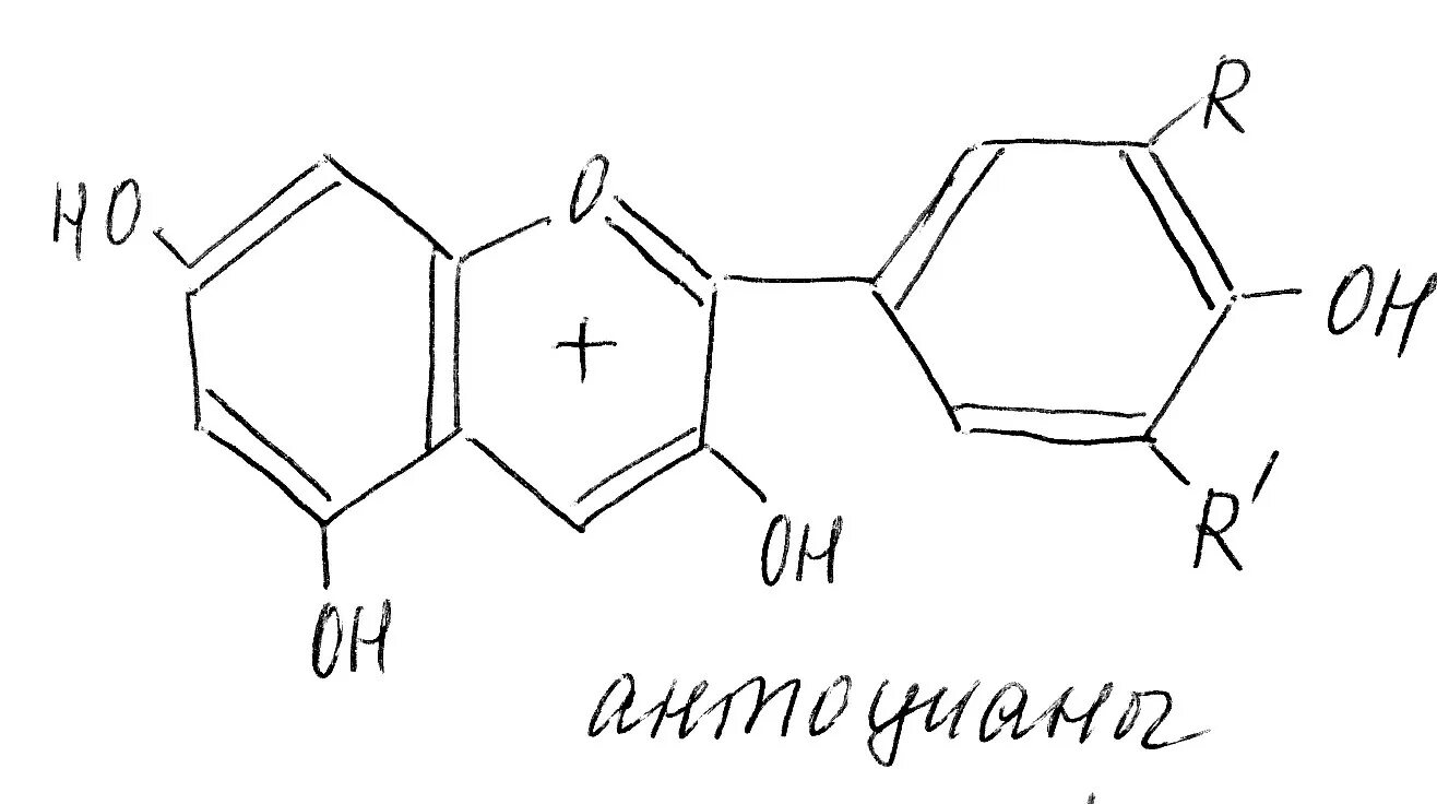 Накопление водорастворимых пигментов антоцианов присоединение молекулы. Антоцианы формула. Антоциан формула химическая. Антоцианы формула структурная. Каротиноиды и антоцианы.