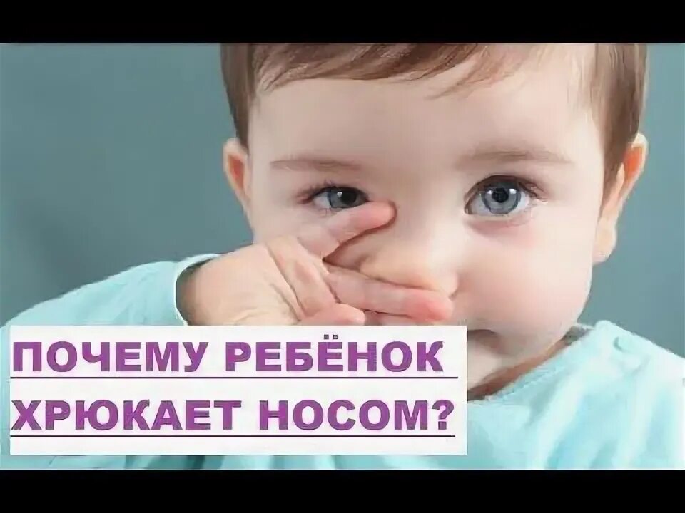 Хрюкает носом год. Новорожденный ребенок хрюкает носом. Если ребенок носом хрюкает что это.