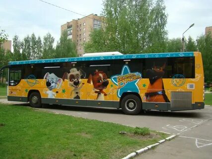 Автобусы стрелка