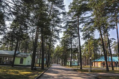 Детский лагерь сосново