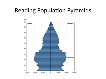 Population pyramid