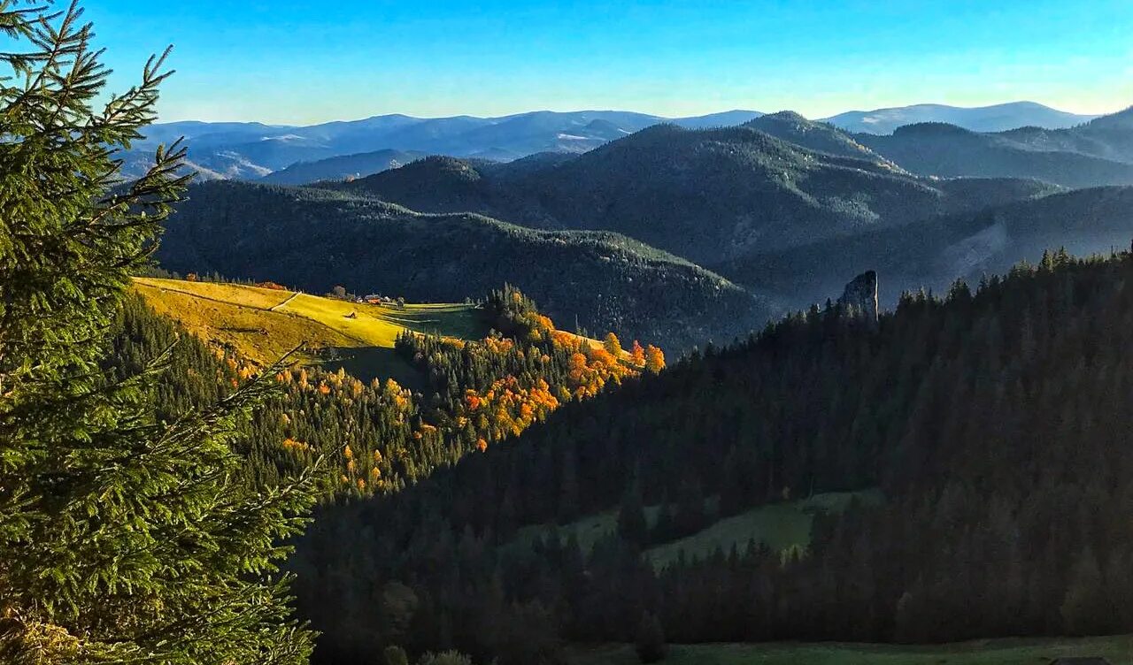 Дума о ковпаке набат. Карпаты думы о. Белые карпаты растения. Среднегорье карпаты. Дума о ковпаке карпаты карпаты.