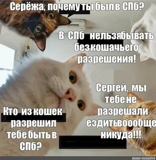 Сережа пора