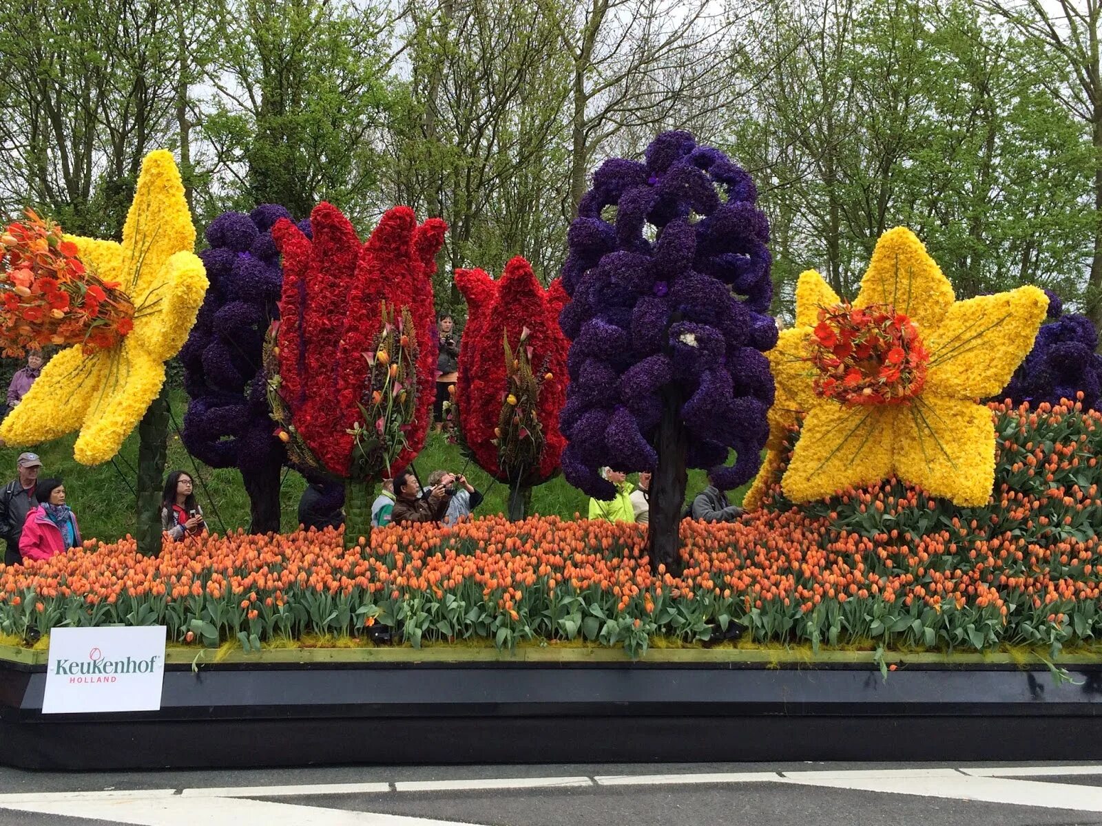 Фестиваль цветов bloemencorso в голландии. Блюменкорсо в голландии. Парад цветов в аалсмеере (голландия). Парад цветов bloemencorso в голландии. Нидерланды парк цветов кейкенхоф 2020.