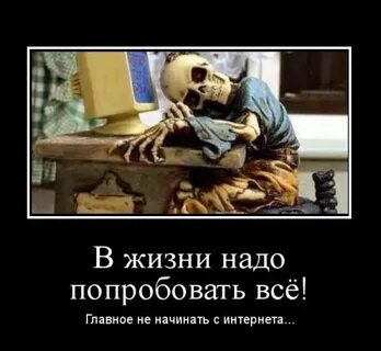 Они хотят все попробовать
