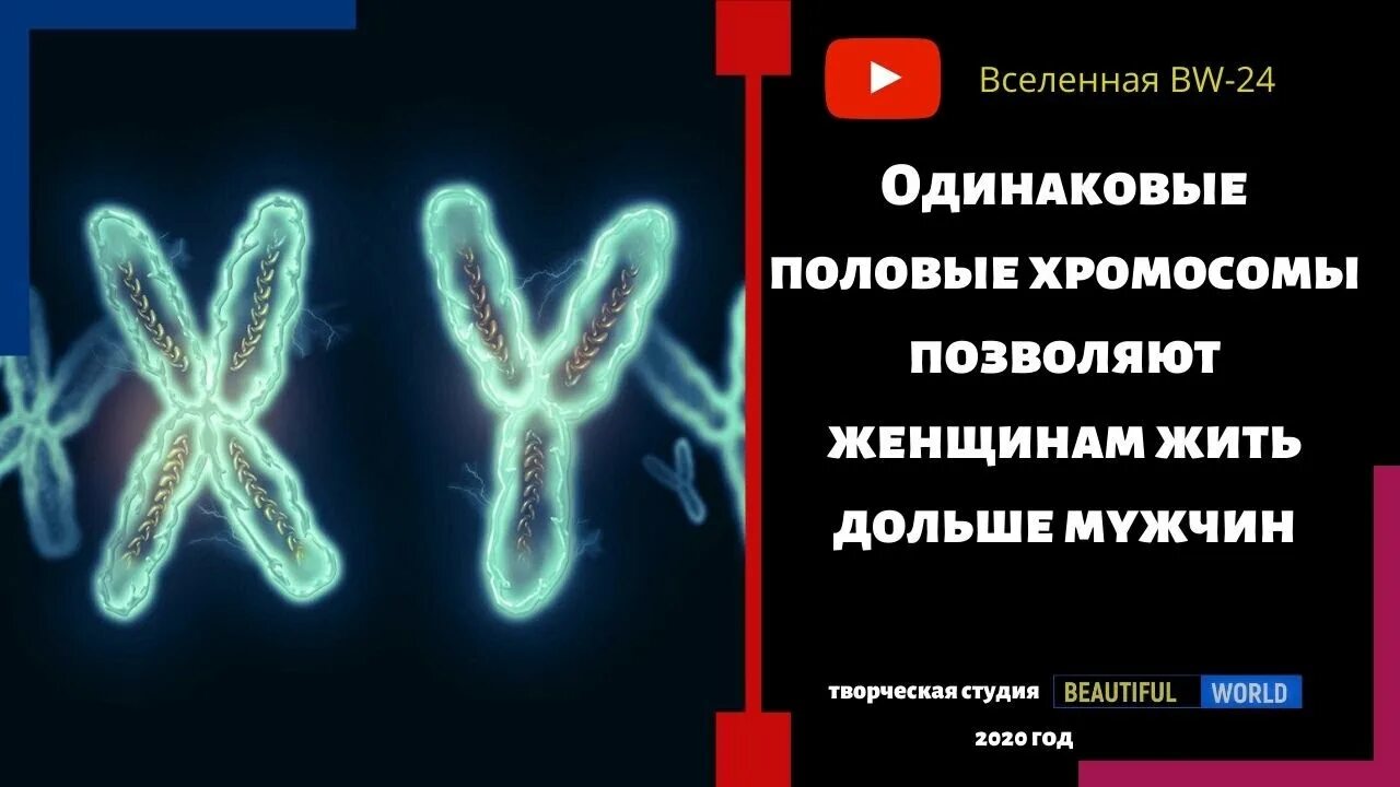 Гены х хромосомы. Y-хромосома. Хромосома красивый рисунок. Игрек хромосома под микроскопом. Хромосомы.