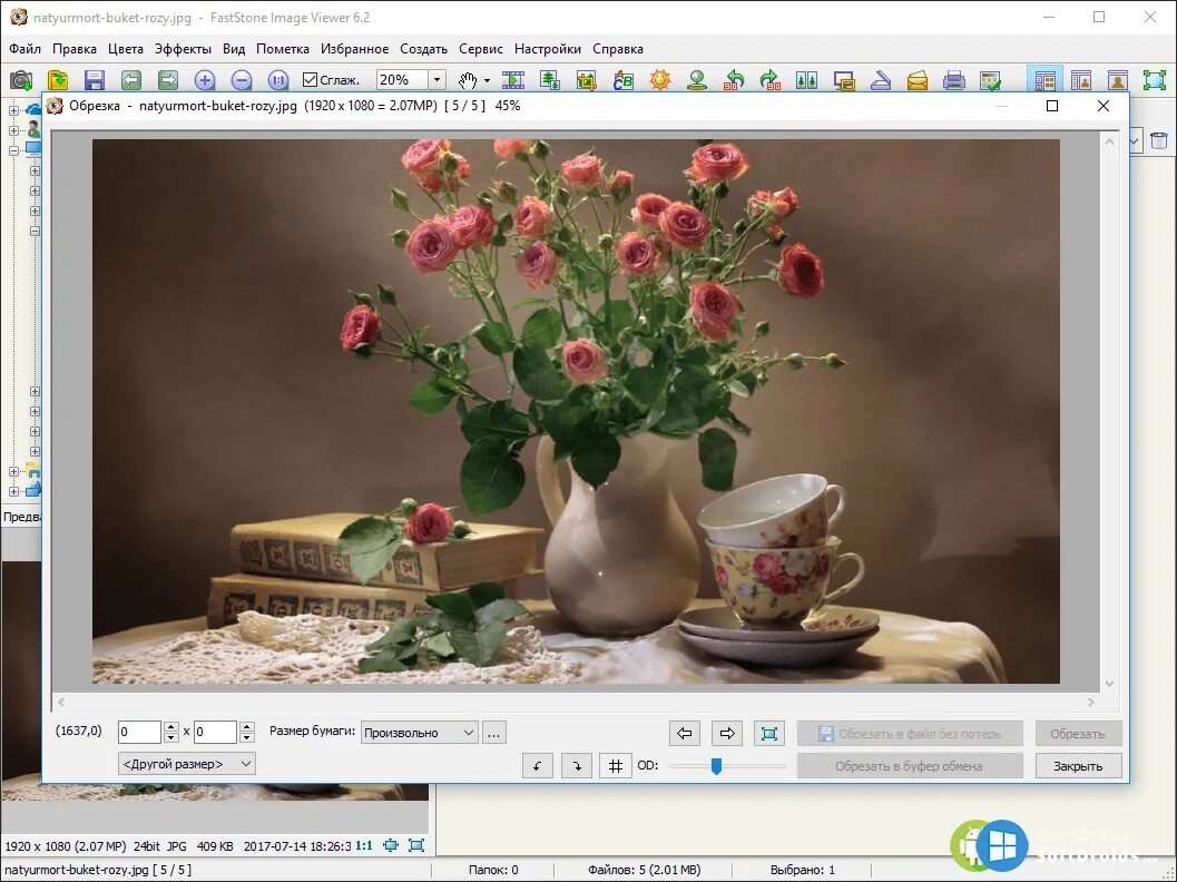 Фаст вьювер. FASTSTONE image viewer. Image viewer программа. FASTSTONE image viewer картинки. Просмотрщик jpg.