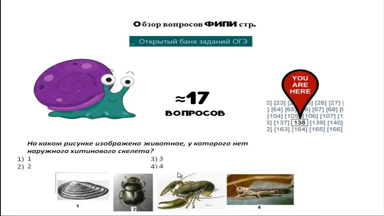 ОГЭ биология. Биология ОГЭ 2023 подготовка. Подготовка к ОГЭ по биологии 2023. ОГЭ биология приколы. Биология огэ читать