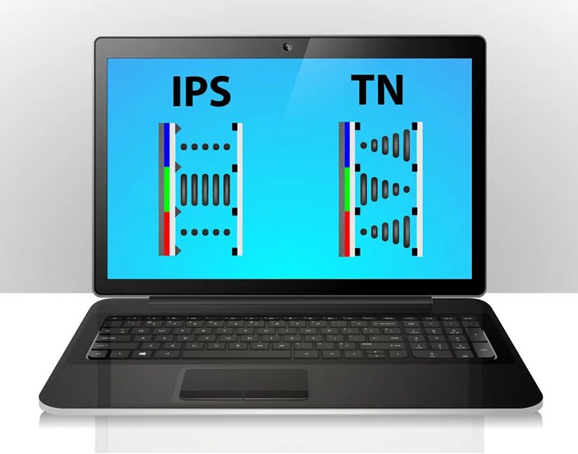 Тип дисплея. Ips экран. tn дисплей. ips экран ноутбука. тип дисплея ips.