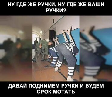 Адидас сидит в черном дельфине