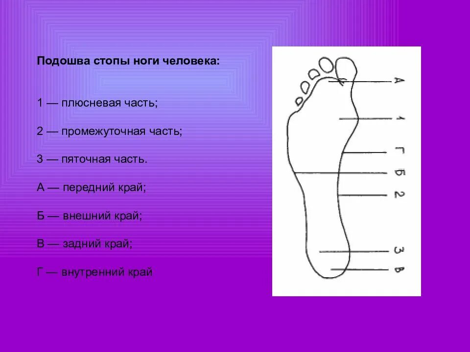 Ступня это где