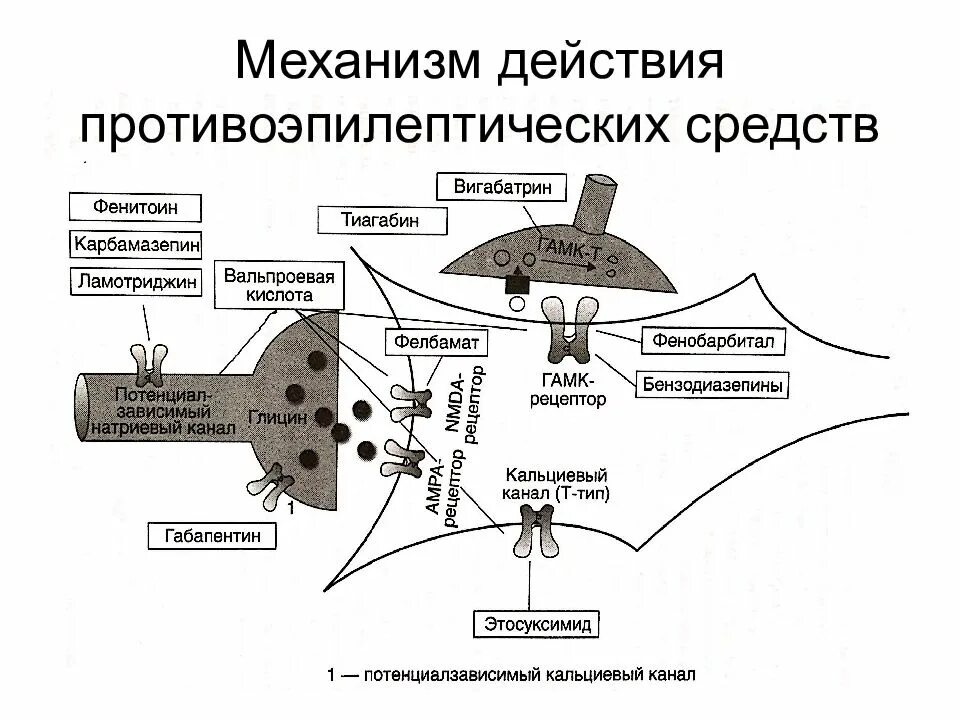 Классификация противоэпилептических средств по механизму действия. Классификация противоэпилептических средств фармакология. Противосудорожные психотропные препараты. Противо эпелептические препараты. Противоэпилептические препараты действие.