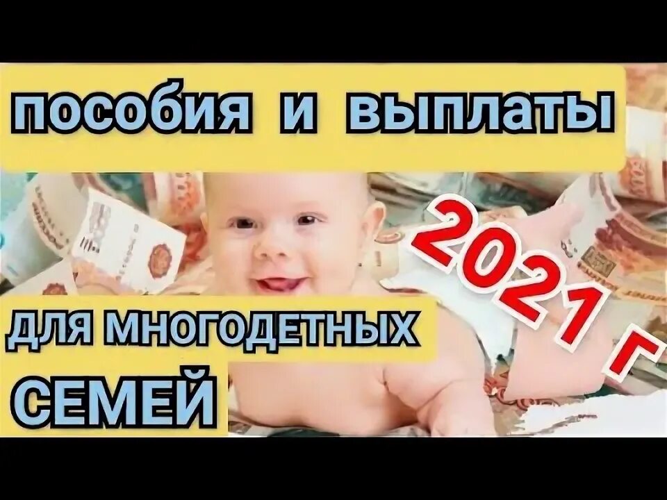 Выплаты многодетным владимирская область. Выплаты многодетным владимирская область