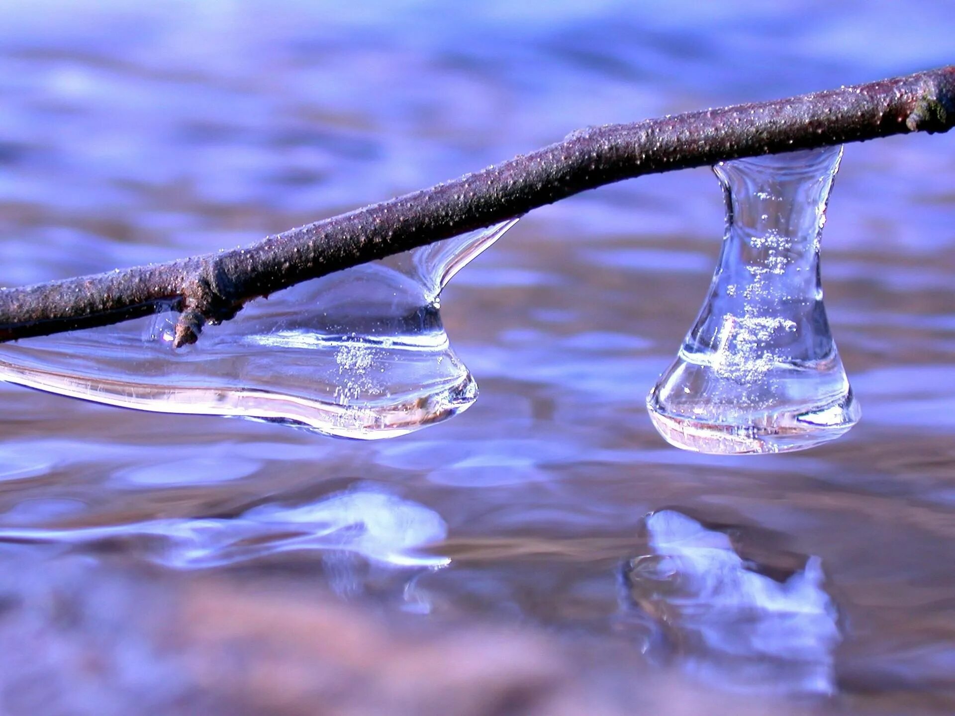 Талые воды весной. Талая вода. Весенняя капель.