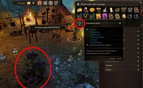 Чернокорень divinity original sin