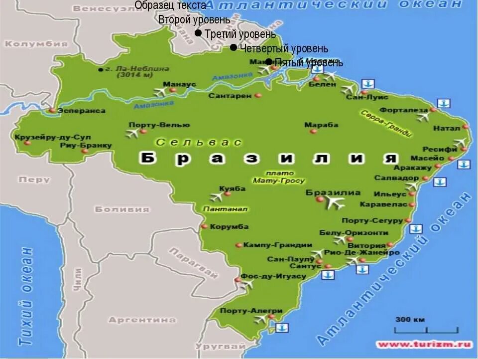 Гео положение Бразилии. Географическое положение Бразилии на карте. Экономико географическое положение Бразилии карта. Бразилия карта географическая на русском.