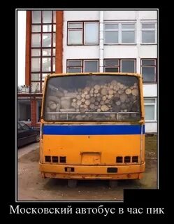 Автобус прикол