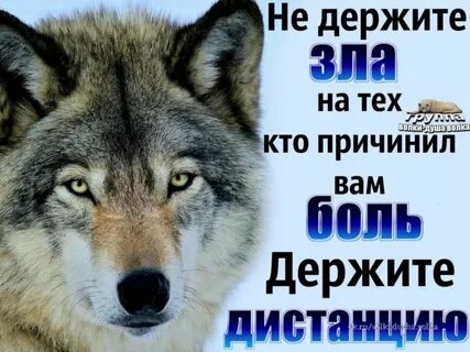 Доверяйте злым