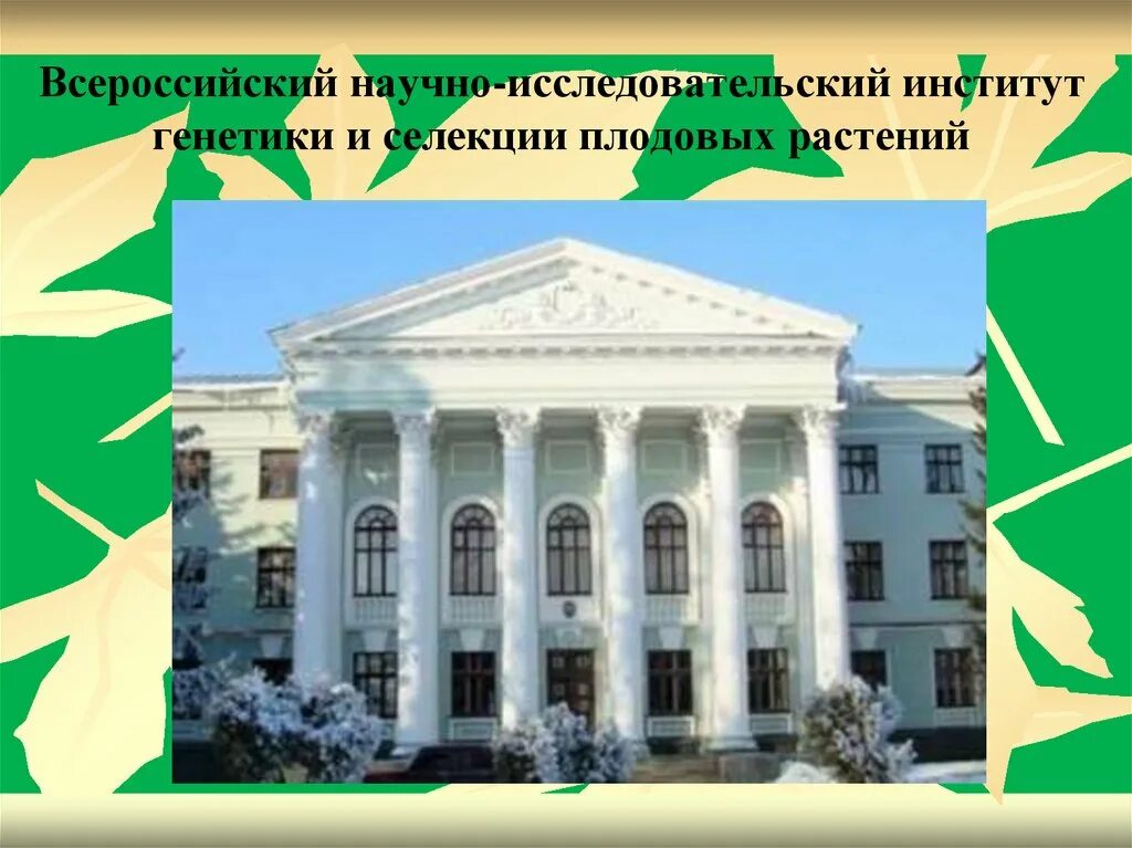 Всероссийский институт селекции. Логотип фнц им. Мичурина. Агрофизический институт. Мичурина.