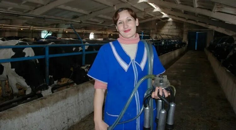 Доярка после работы. Профессия доярка для детей. Доярка для дошкольников. Доярка с коровой. Женщины животноводы.