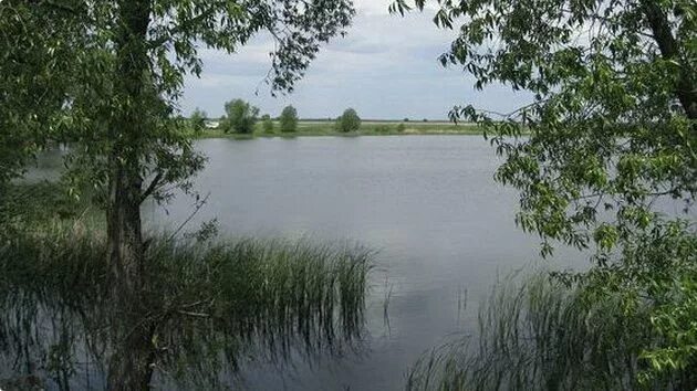 Пруд южный воронежская область. Пруд южный воронежская область. Пруд южный воронежская область. Правдинский пруд воронеж. Пруд южный воронежская область.